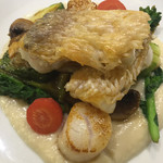 ビストロ ティアボ - 