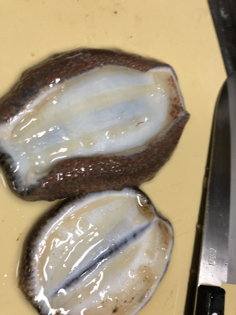 東京で最高クラスの街の魚屋さん By Fukumiminokodomo 魚栄 護国寺 その他 食べログ 東京で最高クラスの街の魚屋さん By Fukumiminokodomo 魚栄 護国寺 その他 食べログ