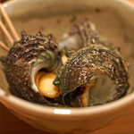 タキギヤ - ひめさざえ