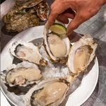 FAST OYSTERS - 