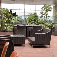 ミゲル フアニ 新宿タカシマヤ タイムズスクエア店 - テラス席に雪が舞い落ちてきました