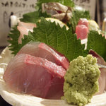 イカセンター新宿総本店 - 