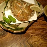 旬菜居酒家 月あかり - 