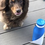 スターバックスコーヒー - 