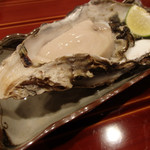 津の守坂 小柴 - 