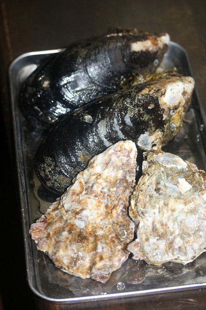 嶋津鮮魚店 周防大島町その他 その他 食べログ 嶋津鮮魚店 周防大島町その他 その他 食べログ