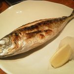 魚 しんのすけ - 201110　焼き魚は鯖
