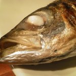 魚 しんのすけ - 201110　アップの鯖