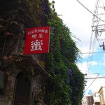 純喫茶 蜜 - お店が緑のカーテン宿根朝顔？覆われてます