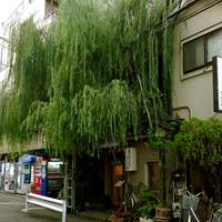 うを徳 - 