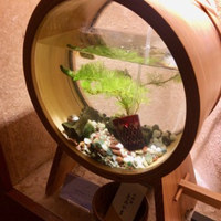 お料理 とみやま - 