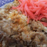 Yoshinoya - 牛丼(並盛) with 玉子 on 紅生姜