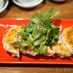 中野餃子 「やまよし」 - 餃子