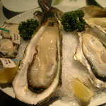 Oyster Bar ジャックポット - 