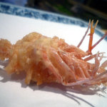 天冨良 天美 - さぷら伊豆！渋谷の平日・伊豆の休日