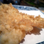 天冨良 天美 - さぷら伊豆！渋谷の平日・伊豆の休日