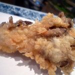 天冨良 天美 - さぷら伊豆！渋谷の平日・伊豆の休日