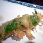 天冨良 天美 - さぷら伊豆！渋谷の平日・伊豆の休日