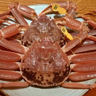 福井駅 福井県 でおすすめの美味しい魚介 海鮮料理 すべて をご紹介 食べログ 福井駅 福井県 でおすすめの美味しい魚介 海鮮料理 すべて をご紹介 食べログ
