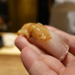 初音鮨 - （2018年12月）シマアジ