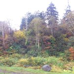 湧駒別食堂 神風井 - お店から眺める景色。