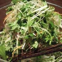 WA-DINNER き - 十色サラダ