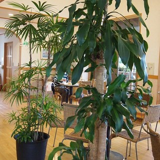 石窯パン レガロ_2