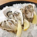 Akkeshi brand raw oysters Maruemon