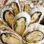 焼鳥酒蔵 憲五百