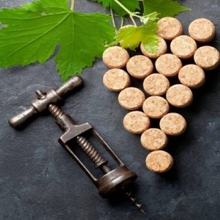 I started a blog to help wine beginners prepare for the sommelier exam.