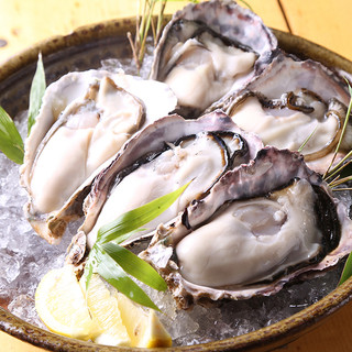 [Oyster available year round]