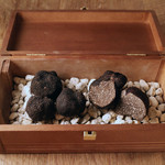 Terres de Truffes, Tokyo - 