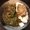 カレーノトリコ