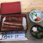 Machida Unagi Ryuuboku - 