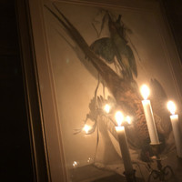 ラ シャッス - テーブルの上こんな感じ。