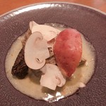 アノニム - ブランケットドボー