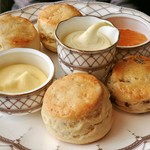 TIFFIN - スコーン＠プレーン2個、クランベリー、ジンジャー