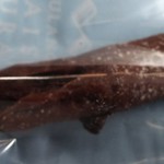 メゾン ムラタ - 