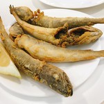 Los Diamantes - pijotasという魚