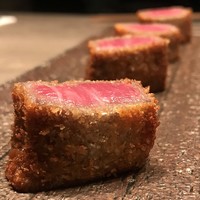 USHIGORO S. NISHIAZABU - 