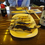 杉ケ瀬ヤナ - オスは田楽に