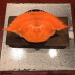 日本料理 TOBIUME - 豊前本蟹