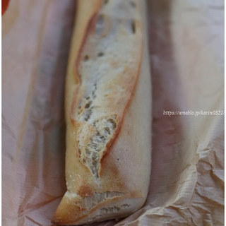 トシオークーデュパン _0