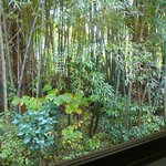 Sobadokoroyuuzen - 窓から見える竹林＠2011/10