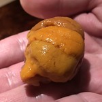 菊鮨 - 雲丹（歯舞）