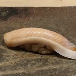 菊鮨 - 鰤（対馬）・・上品な脂を感じ美味しい。厚みがあるのもいいですね。