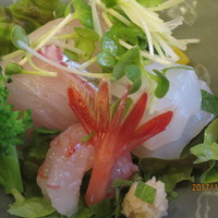 山玄茶 - 鯛・イカ・甘エビ・シマアジ