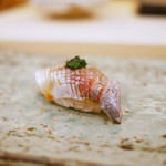 鮨 たかはし - 鯵