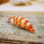 鮨 たかはし - 車海老