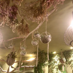 ティーハウス はっぱ - 天井も楽しい